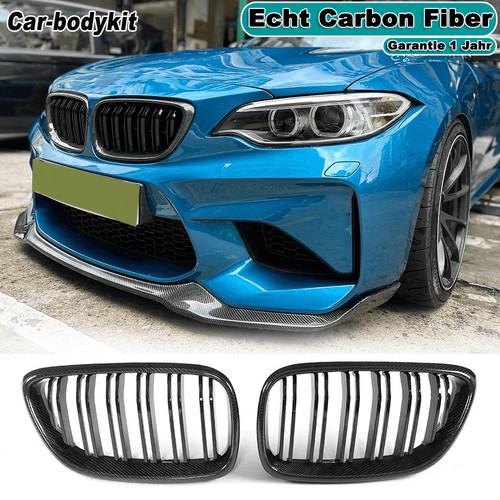 Carbon doppelsteg kühlergrill - doppelsteg,